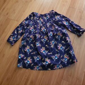Baby Gap Fall Floral Dress 3T